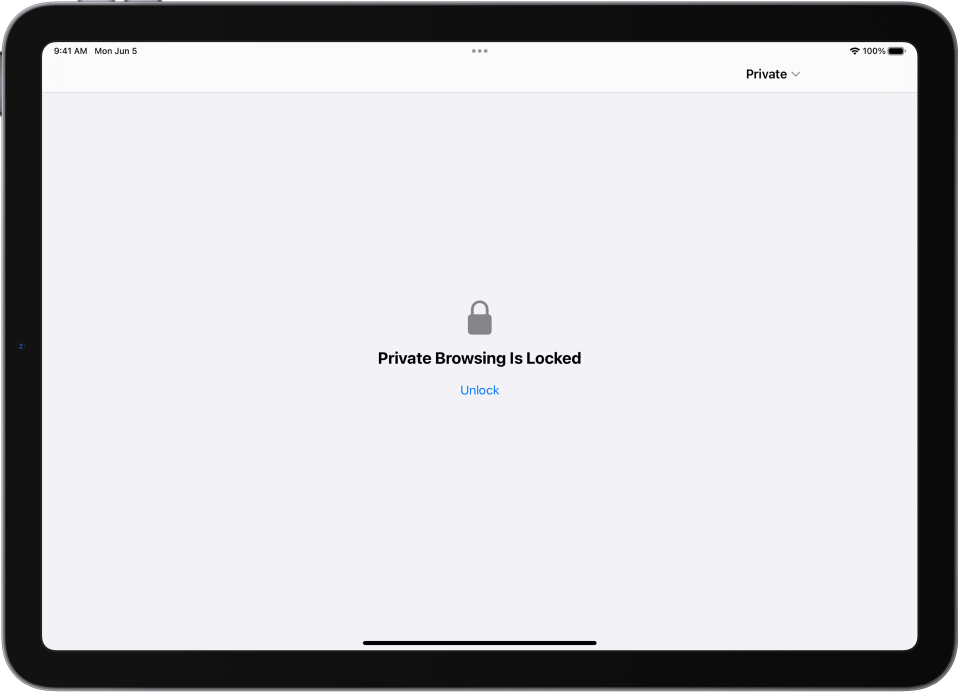 iPad Private Browsing